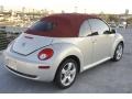 White Gold Metallic 2009 Volkswagen New Beetle 2.5 Blush Edition Convertible Exterior