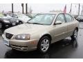 Champagne Metallic - Elantra GLS Sedan Photo No. 1