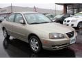Champagne Metallic - Elantra GLS Sedan Photo No. 16