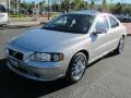 Silver Metallic - S60 2.5T Photo No. 1