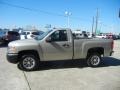 2009 Silver Birch Metallic Chevrolet Silverado 1500 Regular Cab  photo #5