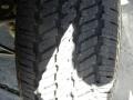 2009 Silver Birch Metallic Chevrolet Silverado 1500 Regular Cab  photo #20