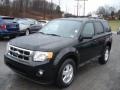 2009 Black Ford Escape XLT V6 4WD  photo #4