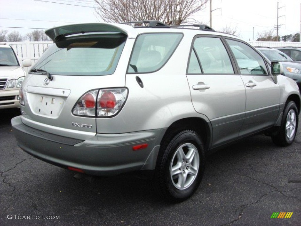 2003 RX 300 AWD - Millenium Silver Metallic / Black photo #4
