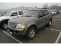 2002 Mineral Grey Metallic Ford Explorer Limited 4x4  photo #4