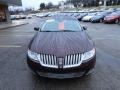 2010 Cinnamon Metallic Lincoln MKS AWD Ultimate Package  photo #7