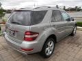 2009 Pewter Metallic Mercedes-Benz ML 320 BlueTec 4Matic  photo #5