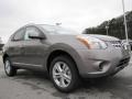 Platinum Graphite - Rogue SV Photo No. 7