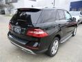 Black - ML 350 4Matic Photo No. 5