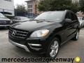 Black - ML 350 4Matic Photo No. 1