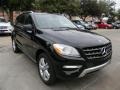 Black - ML 350 4Matic Photo No. 3