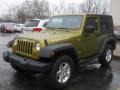 2007 Rescue Green Metallic Jeep Wrangler Rubicon 4x4  photo #1