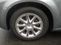 Silver Steel Metallic - 300 Touring Photo No. 17