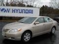 Desert Sand Metallic - Camry LE Photo No. 1