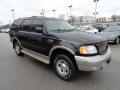 Black Clearcoat - Expedition Eddie Bauer 4x4 Photo No. 7