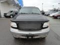 Black Clearcoat - Expedition Eddie Bauer 4x4 Photo No. 8
