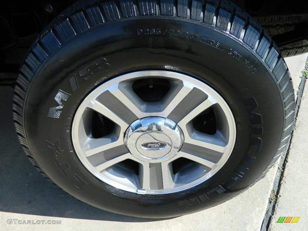 2006 F150 XLT SuperCrew - Medium Wedgewood Blue Metallic / Medium/Dark Flint photo #10