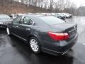 Smoky Granite Mica - LS 460 AWD Photo No. 2