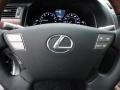 Smoky Granite Mica - LS 460 AWD Photo No. 17