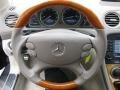 Stone Steering Wheel Photo for 2007 Mercedes-Benz SL #60286109