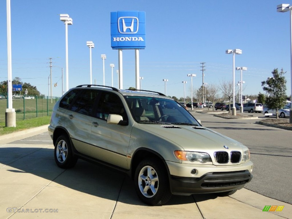 2002 X5 3.0i - Pearl Beige Metallic / Beige photo #2