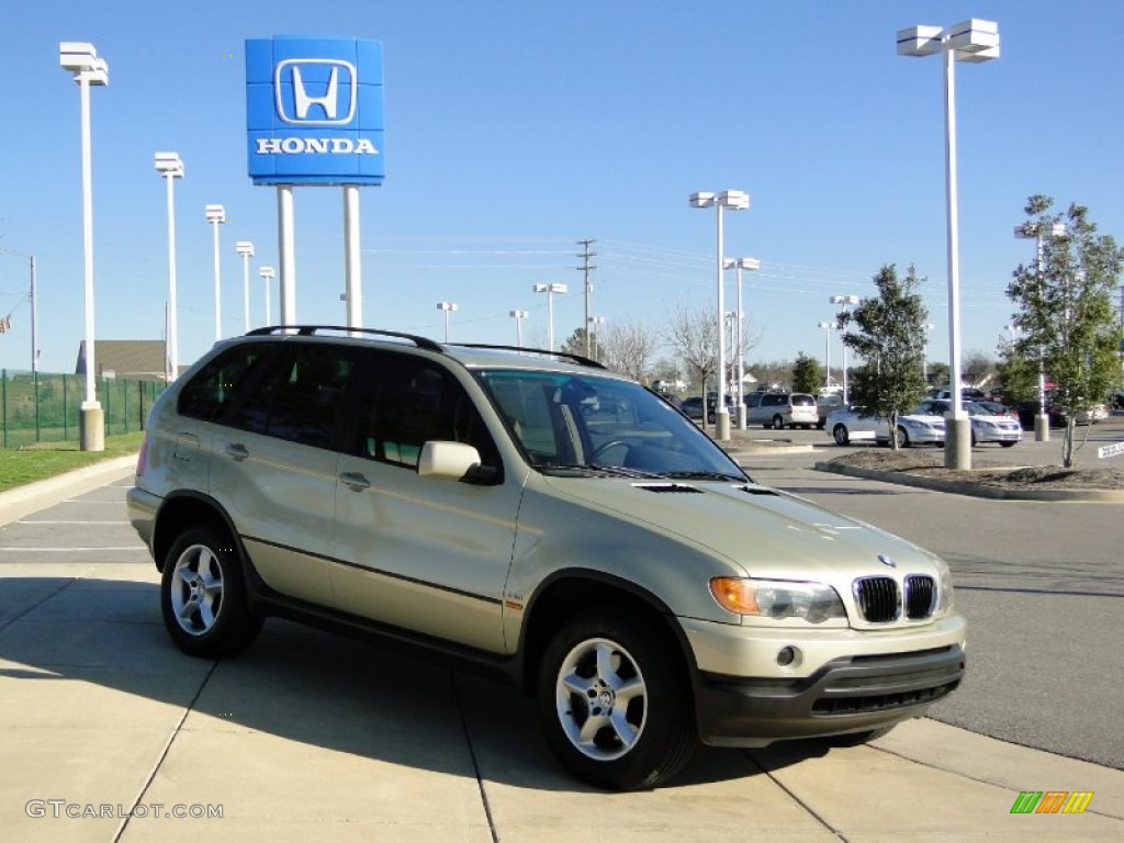 2002 X5 3.0i - Pearl Beige Metallic / Beige photo #3