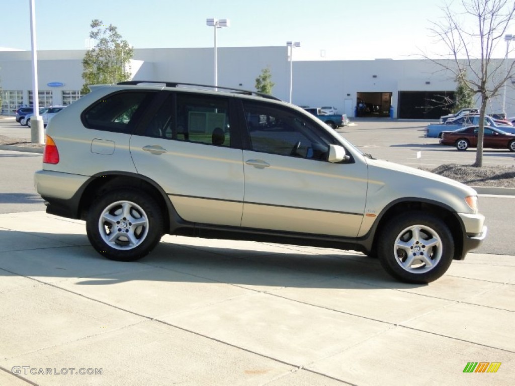 2002 X5 3.0i - Pearl Beige Metallic / Beige photo #4