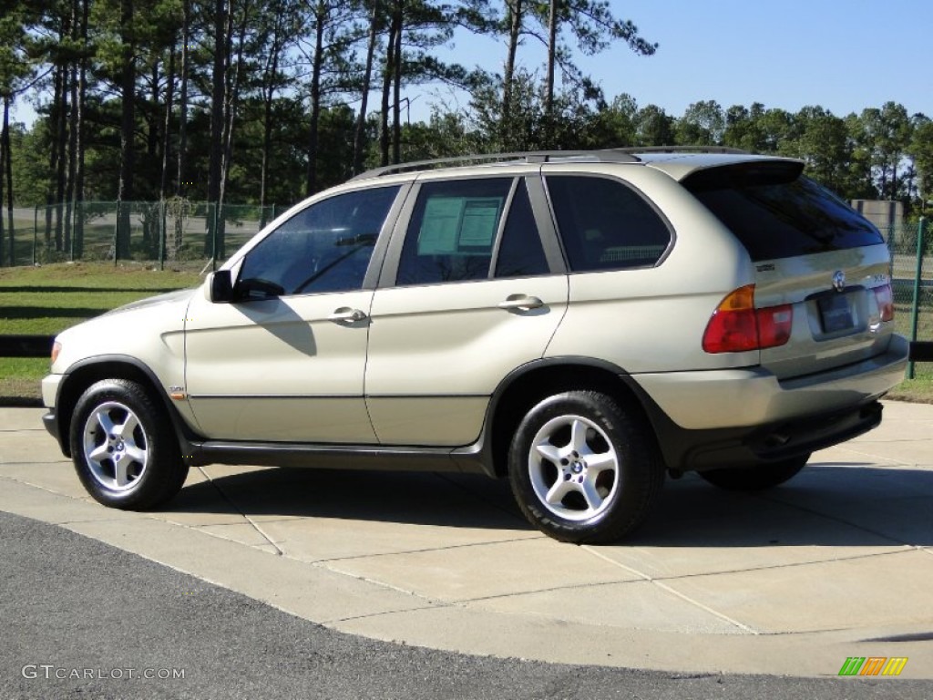 2002 X5 3.0i - Pearl Beige Metallic / Beige photo #6