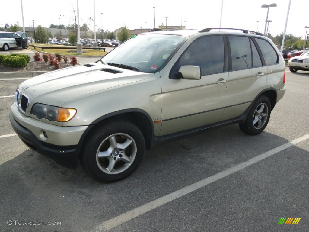 2002 X5 3.0i - Pearl Beige Metallic / Beige photo #39