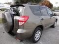 Pyrite Metallic - RAV4 I4 Photo No. 3