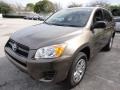 Pyrite Metallic - RAV4 I4 Photo No. 7