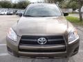 Pyrite Metallic - RAV4 I4 Photo No. 8
