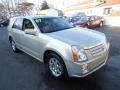 Gold Mist - SRX 4 V6 AWD Photo No. 3
