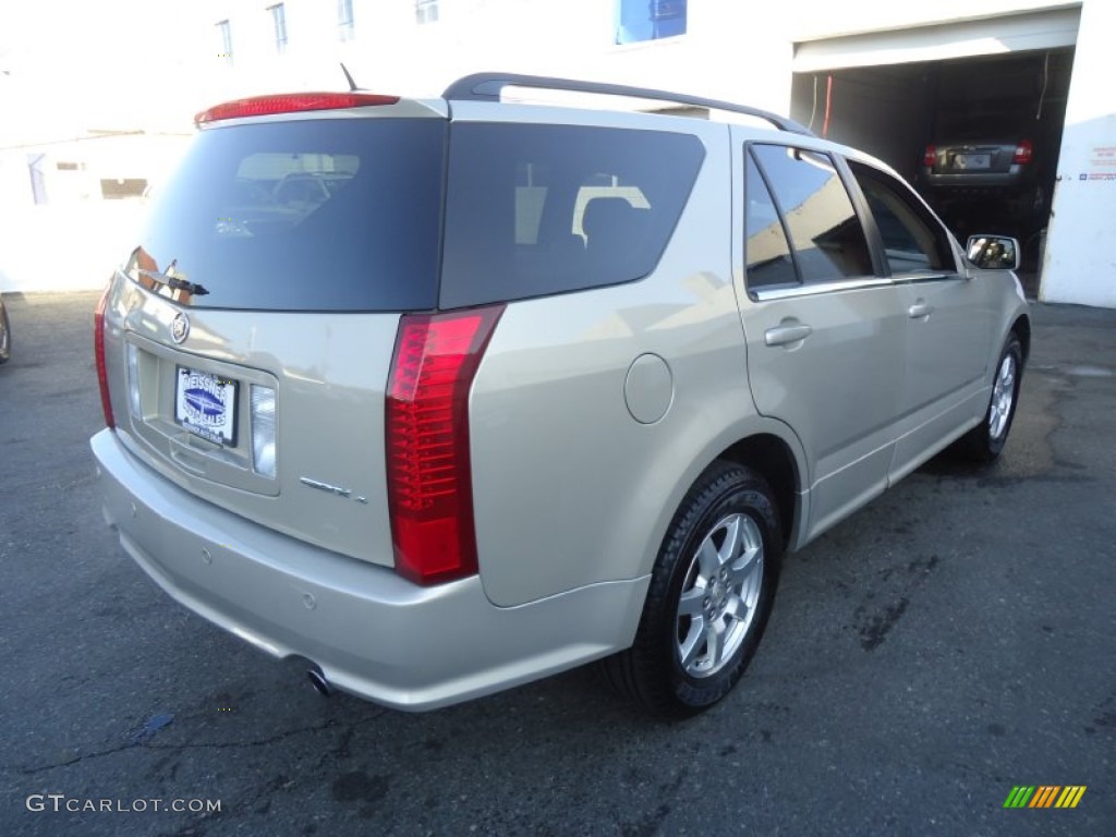 2007 SRX 4 V6 AWD - Gold Mist / Cashmere photo #5