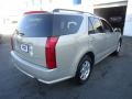 Gold Mist - SRX 4 V6 AWD Photo No. 5