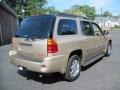 2004 Sand Beige Metallic GMC Envoy XL SLT 4x4  photo #7