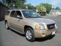 2004 Sand Beige Metallic GMC Envoy XL SLT 4x4  photo #11