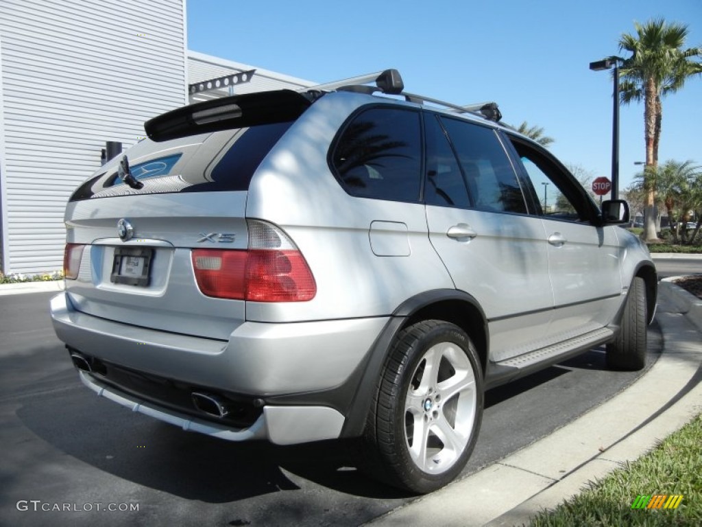 Bmw x5 titanium silver metallic