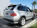 2003 Titanium Silver Metallic BMW X5 4.6is  photo #6