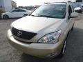 Savannah Beige Metallic - RX 350 AWD Photo No. 2