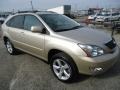 Savannah Beige Metallic - RX 350 AWD Photo No. 4