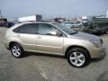 Savannah Beige Metallic - RX 350 AWD Photo No. 5
