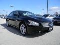 Super Black - Maxima 3.5 SV Photo No. 3