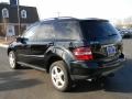Black - ML 350 4Matic Photo No. 4
