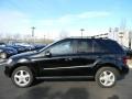 Black - ML 350 4Matic Photo No. 5