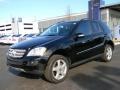 Black - ML 350 4Matic Photo No. 6