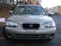 2002 Champagne Beige Hyundai Elantra GLS Sedan  photo #1