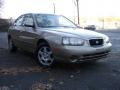 2002 Champagne Beige Hyundai Elantra GLS Sedan  photo #3