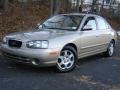 2002 Champagne Beige Hyundai Elantra GLS Sedan  photo #9