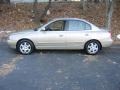 2002 Champagne Beige Hyundai Elantra GLS Sedan  photo #11